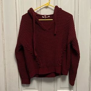 No boundaries branded crop sweater with hood